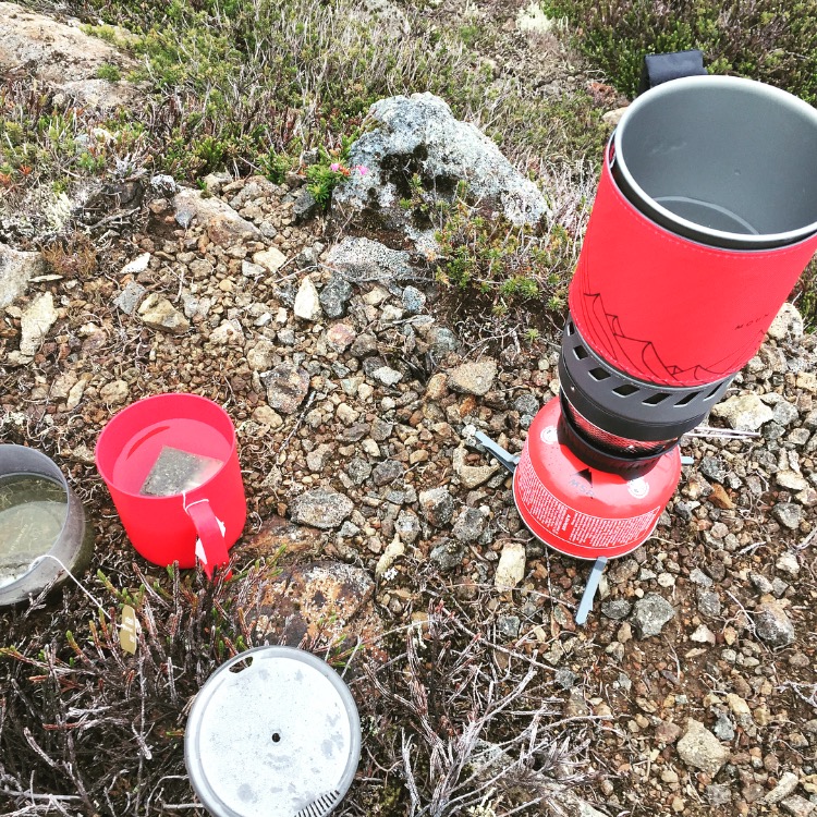 Mountain Tea